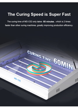 MD-C02 curing machine